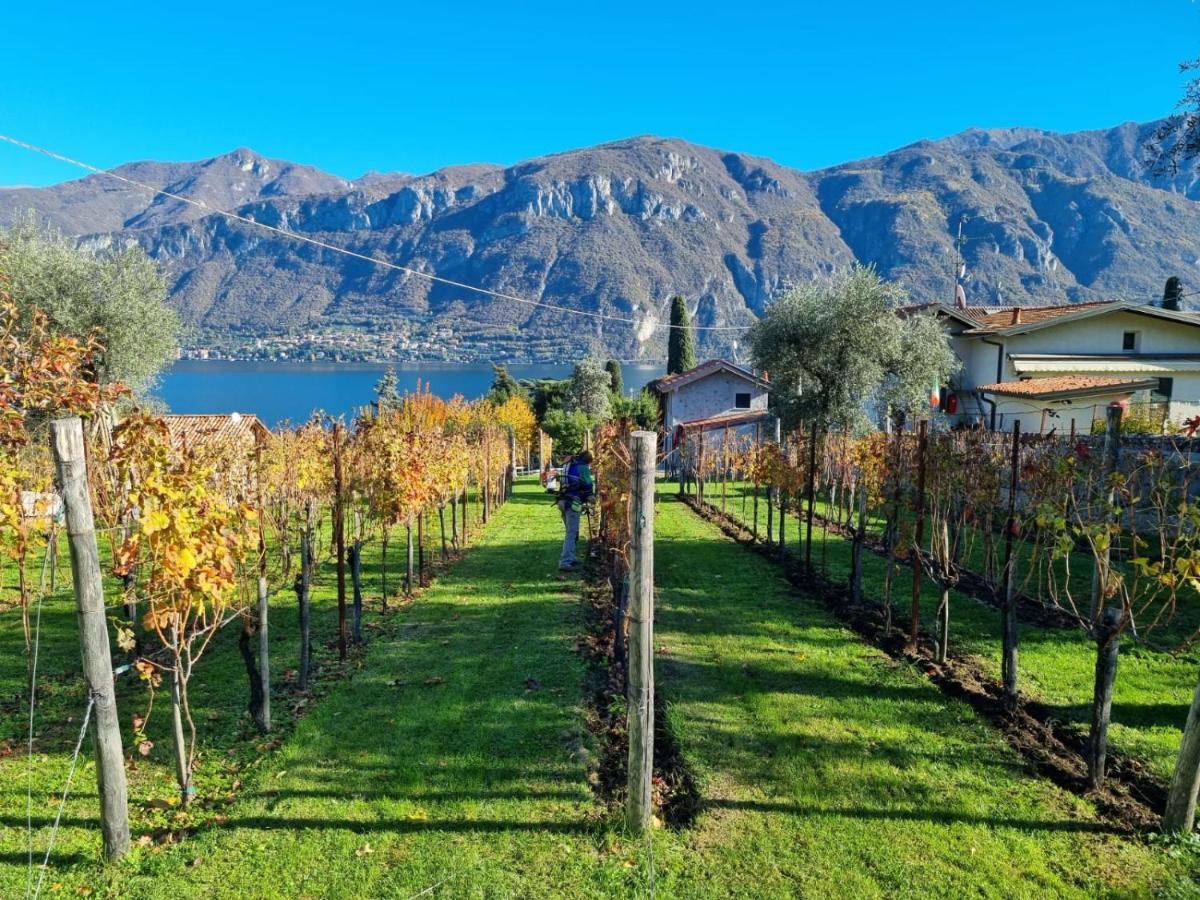 Вилла Bellagio Il Crotto Экстерьер фото
