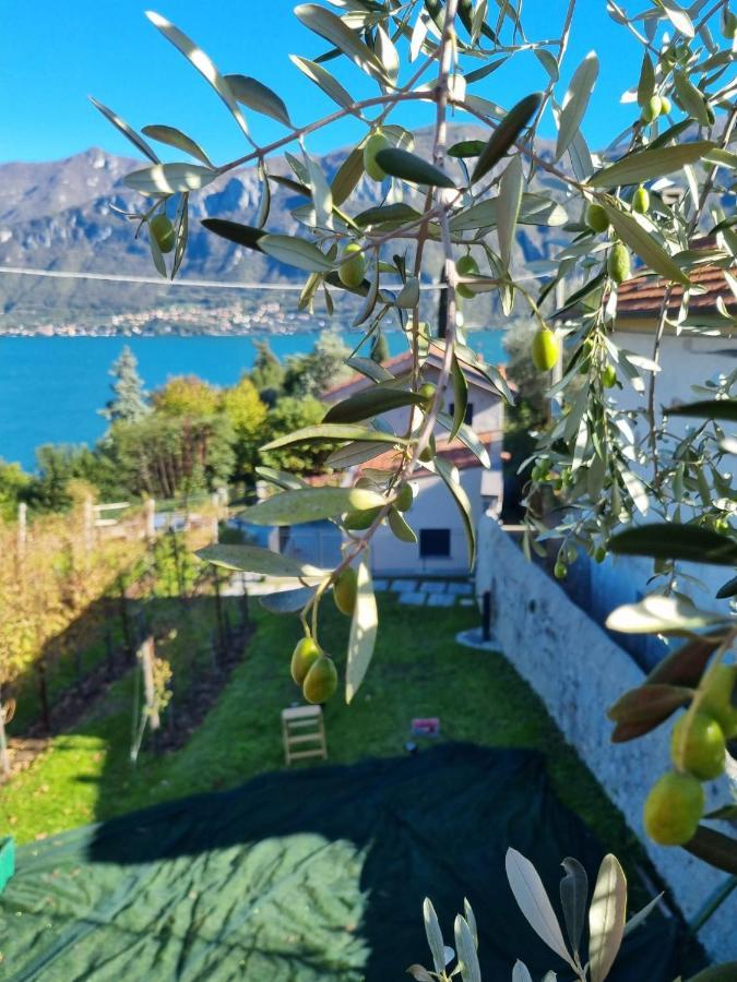 Вилла Bellagio Il Crotto Экстерьер фото